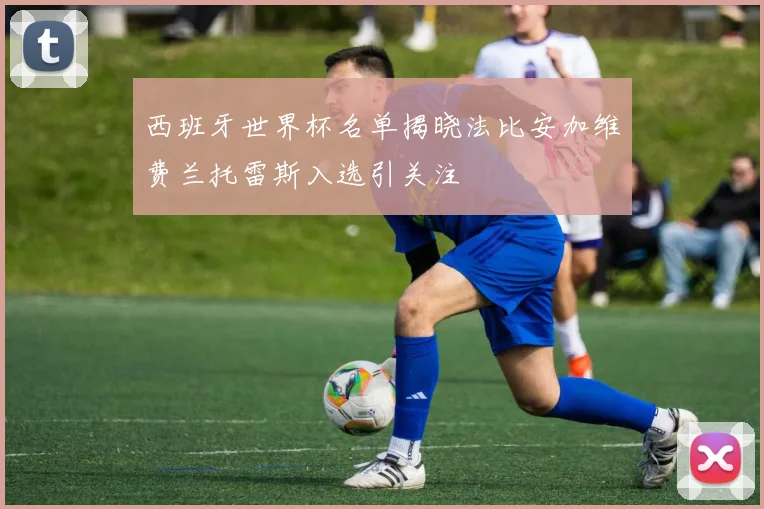 西班牙世界杯名单揭晓法比安加维费兰托雷斯入选引关注