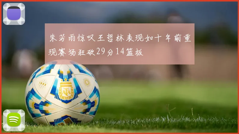 朱芳雨惊叹王哲林表现如十年前重现赛场狂砍29分14篮板