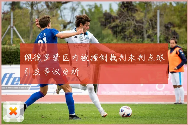 佩德罗禁区内被撞倒裁判未判点球引发争议分析