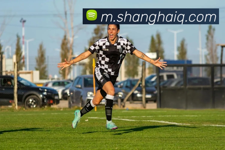 博鱼体育网页版平台生态图